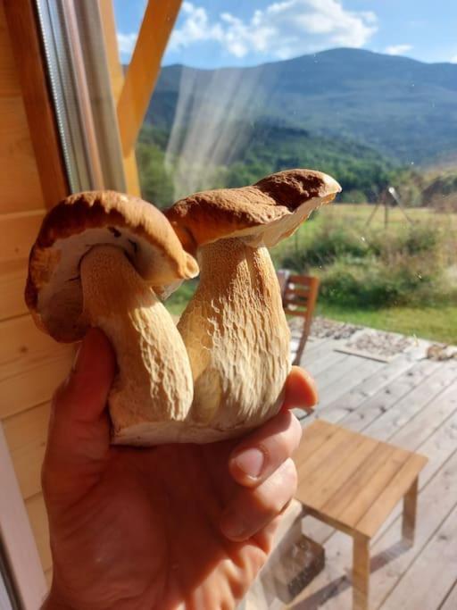 Panorama Sucha Gora ,Lesny Domek Skawica  エクステリア 写真