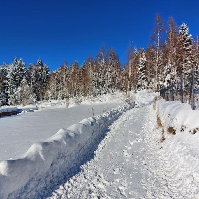 Panorama Sucha Gora ,Lesny Domek Skawica  エクステリア 写真