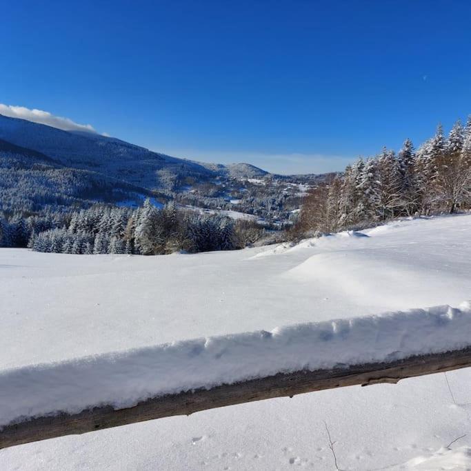Panorama Sucha Gora ,Lesny Domek Skawica  エクステリア 写真