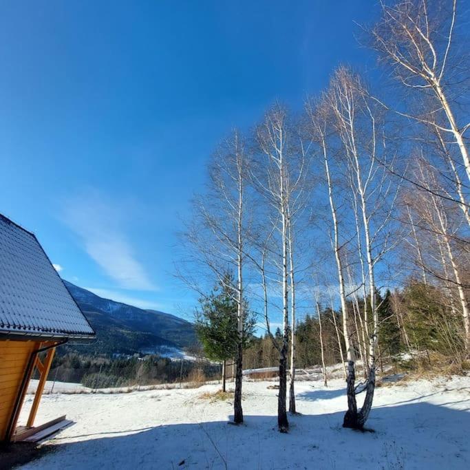 Panorama Sucha Gora ,Lesny Domek Skawica  エクステリア 写真